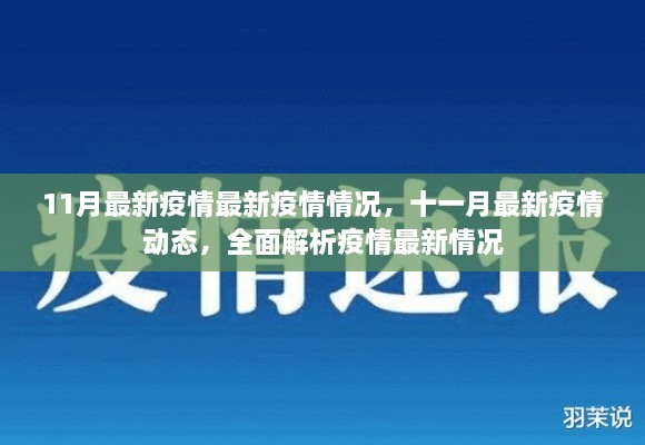 全面解析，最新疫情動態(tài)與十一月最新疫情情況