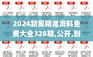 2024新奧精準資料免費大全328期,公開,耐心落實解釋解答_JNO9.11