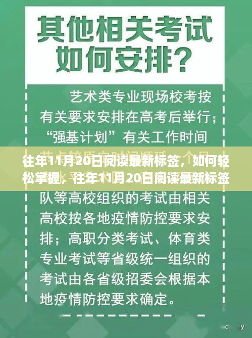 往年11月20日閱讀最新標簽的掌握方法與步驟指南