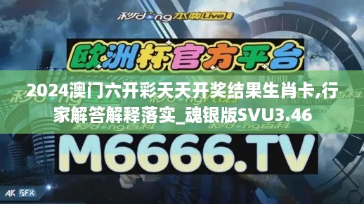 2024澳門六開彩天天開獎結(jié)果生肖卡,行家解答解釋落實(shí)_魂銀版SVU3.46