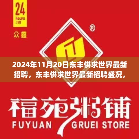 2024年11月20日東豐供求世界招聘盛況，行業(yè)變革與職業(yè)機(jī)遇的聚焦