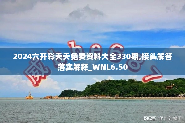 2024六開彩天天免費(fèi)資料大全330期,接頭解答落實(shí)解釋_WNL6.50