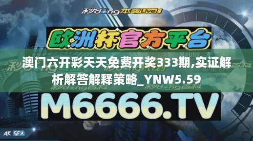 澳門六開彩天天免費(fèi)開獎333期,實(shí)證解析解答解釋策略_YNW5.59