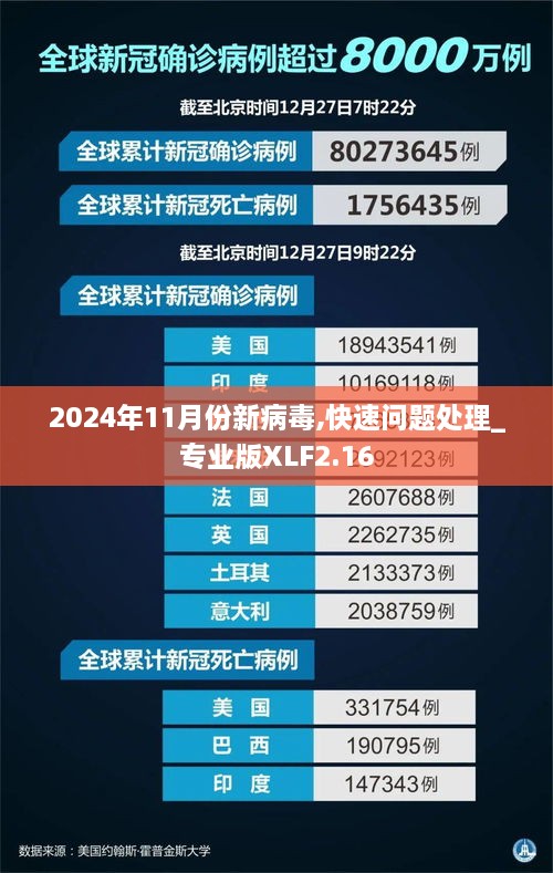 2024年11月份新病毒,快速問題處理_專業(yè)版XLF2.16