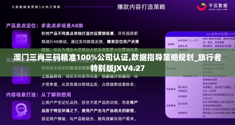 澳門三肖三碼精準100%公司認證,數(shù)據(jù)指導策略規(guī)劃_旅行者特別版JXV4.27