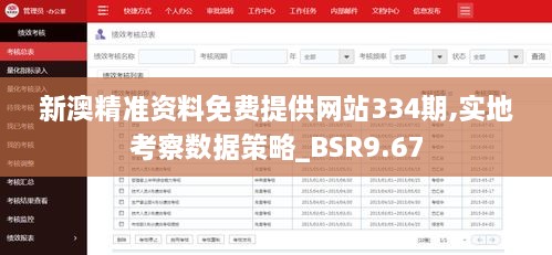 新澳精準資料免費提供網站334期,實地考察數據策略_BSR9.67