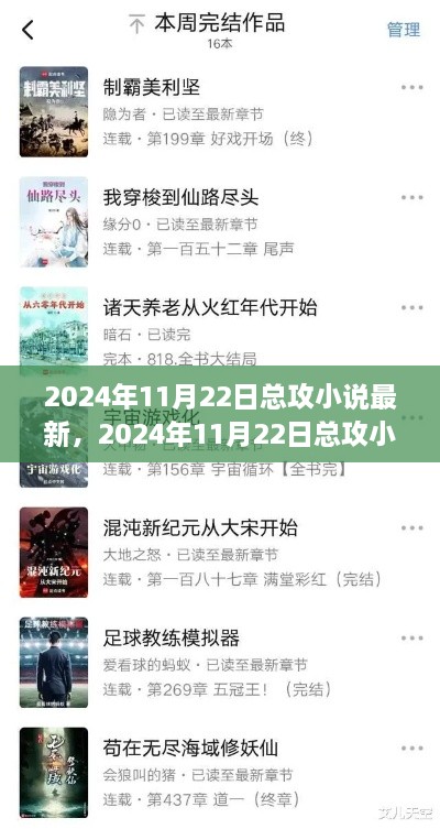 2024年11月22日總攻小說最新創(chuàng)作全流程指南