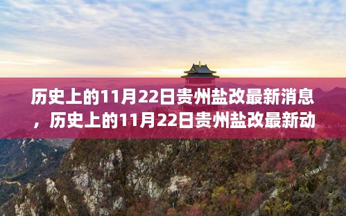 揭秘貴州鹽改最新動(dòng)態(tài)，歷史上的11月22日最新消息揭秘