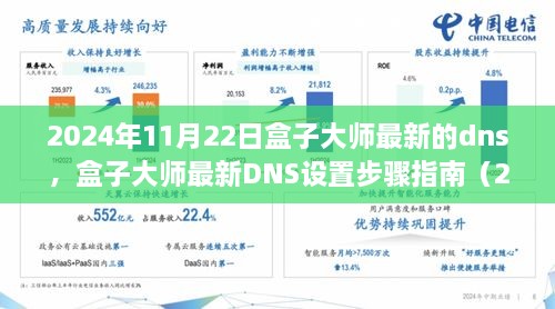 2024年11月22日盒子大師最新的dns，盒子大師最新DNS設(shè)置步驟指南（2024年11月版）