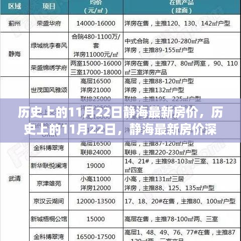 歷史上的11月22日靜海最新房價，歷史上的11月22日，靜海最新房價深度解析