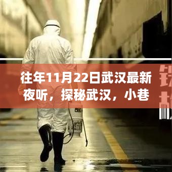 探秘武漢夜聽盛宴，小巷深處的獨特體驗之旅（11月22日）