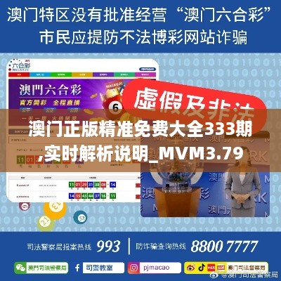 澳門正版精準(zhǔn)免費大全333期,實時解析說明_MVM3.79