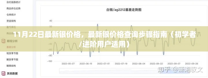 最新銀價(jià)格查詢指南，步驟詳解，適用于初學(xué)者與進(jìn)階用戶（11月22日更新）