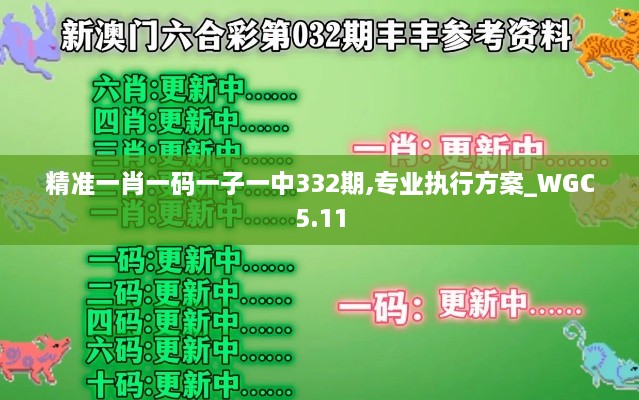 精準(zhǔn)一肖一碼一子一中332期,專業(yè)執(zhí)行方案_WGC5.11