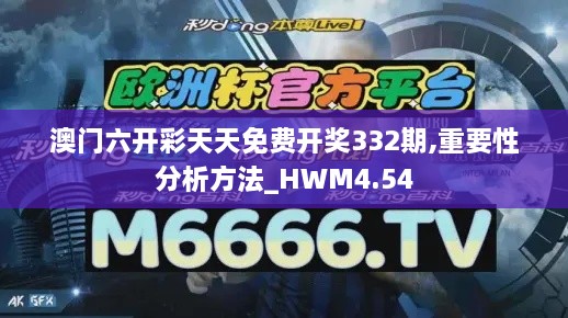 澳門六開彩天天免費(fèi)開獎332期,重要性分析方法_HWM4.54