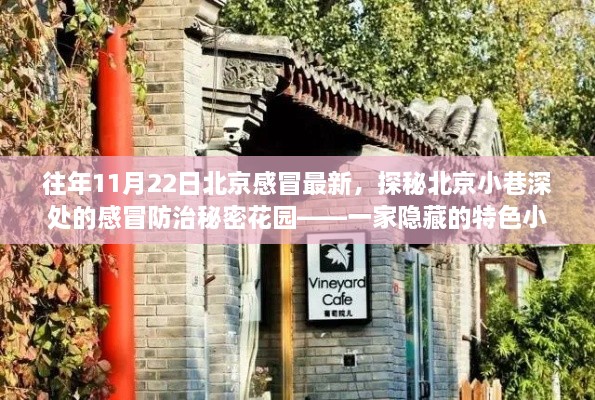 探秘北京小巷深處的特色小店，感冒防治秘密花園