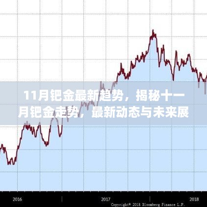 揭秘鈀金走勢，最新動態(tài)與未來展望（十一月版）