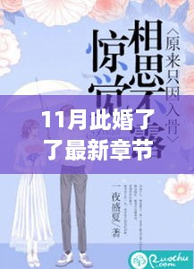 11月此婚了了最新章節(jié)，婚緣十一月，溫馨日常與愛的紐帶