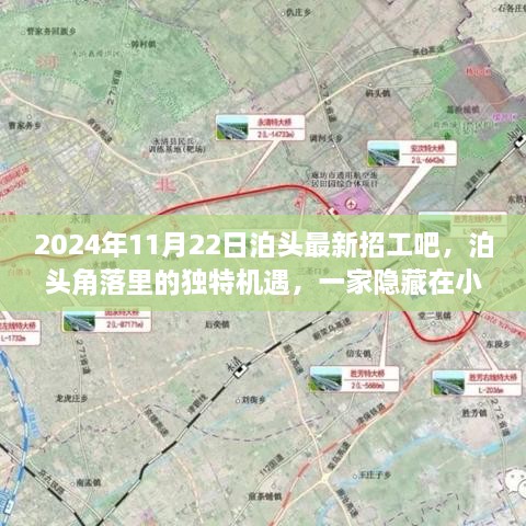 2024年11月22日泊頭最新招工吧，泊頭角落里的獨(dú)特機(jī)遇，一家隱藏在小巷中的特色小店招工記