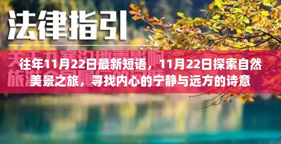 11月22日，自然美景之旅，探尋內(nèi)心的寧靜與詩意遠(yuǎn)方