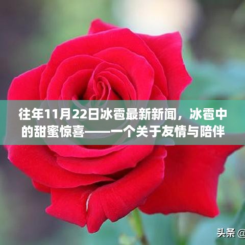 冰雹中的甜蜜驚喜，友情與陪伴的溫馨故事——最新冰雹新聞回顧往年事件