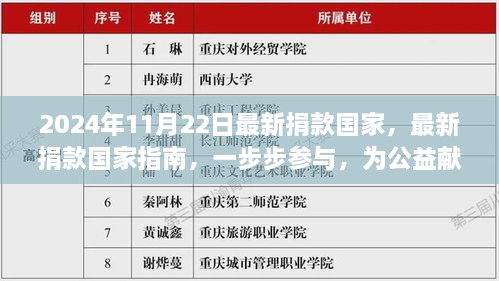 2024年11月最新版捐款指南，如何一步步參與公益貢獻(xiàn)力量