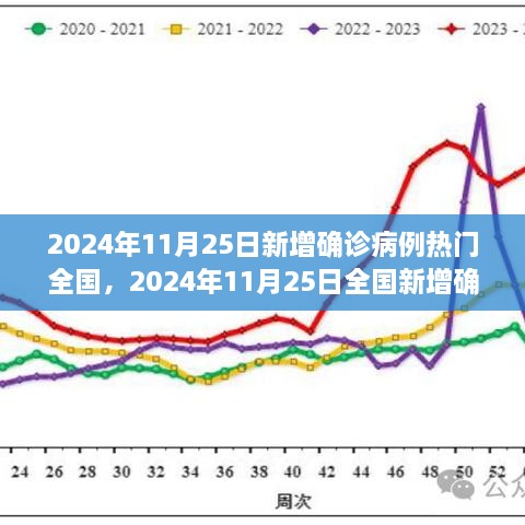 2024年11月25日全國疫情動態(tài)，最新確診病例指南與理解疫情走勢的方法