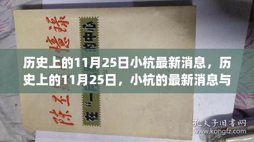 歷史上的11月25日，小杭的最新消息與深遠影響揭秘