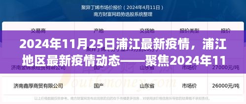 2024年11月25日浦江地區(qū)疫情動態(tài)，防控進展與科普解讀