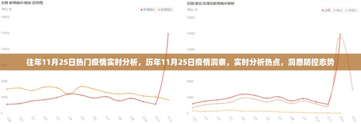 歷年與即時洞察，11月25日疫情深度分析與防控態(tài)勢實時觀察