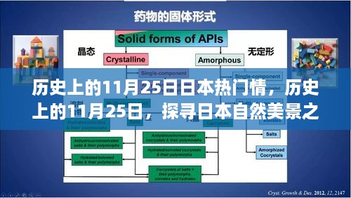 探尋日本自然美景之旅，歷史上的11月25日與日本情感之旅的寧靜與平和