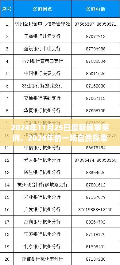 民事案例背后的心靈之旅，自然探索之旅的啟示（2024年最新案例）