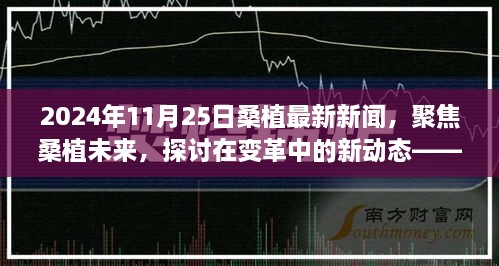 變革中的新動態(tài)，聚焦桑植未來——2024年11月25日桑植最新新聞視角