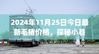 毛豬價(jià)格揭秘與小巷特色小店的幕后故事，2024年最新資訊，今日探秘之旅