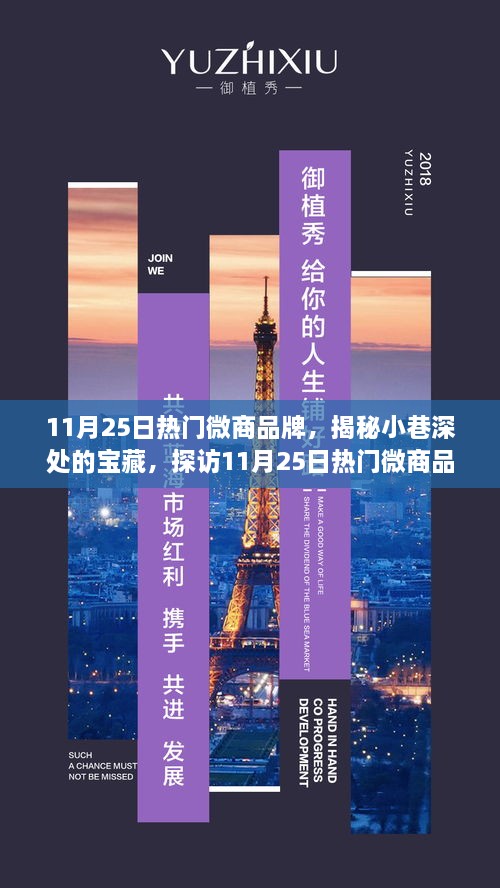 探訪某巷特色小店，揭秘熱門微商品牌寶藏之旅（11月25日熱門推薦）