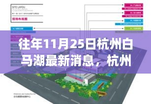 往年11月25日杭州白馬湖最新消息，杭州白馬湖，十一月二十五日的最新篇章