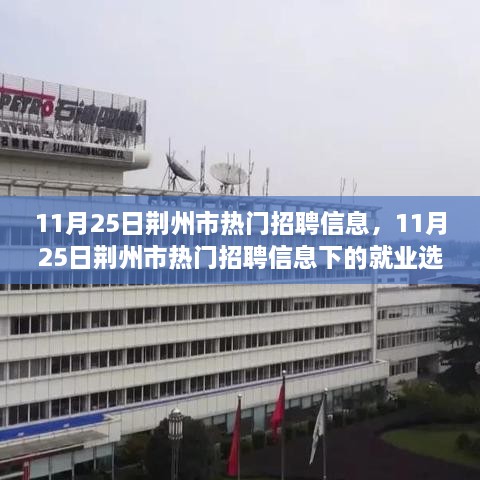 11月25日荊州市熱門招聘信息，11月25日荊州市熱門招聘信息下的就業(yè)選擇，機(jī)遇與挑戰(zhàn)并存