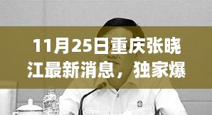 重慶張曉江最新動態(tài)揭秘，11月25日獨(dú)家爆料，瞬間驚艷！