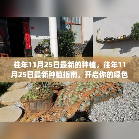 往年11月25日最新的種植，往年11月25日最新種植指南，開啟你的綠色生活之旅