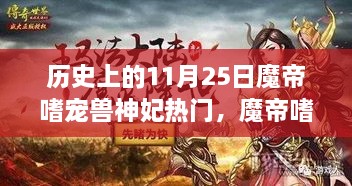 魔帝嗜寵獸神妃，深度測(cè)評(píng)與介紹——?dú)v史上的11月25日熱門話題