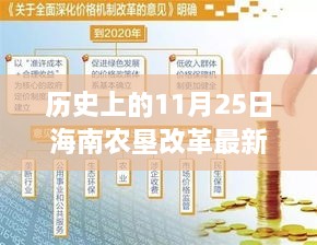 海南農(nóng)墾改革新篇章，歷史上的11月25日，變革中的自信與成就感