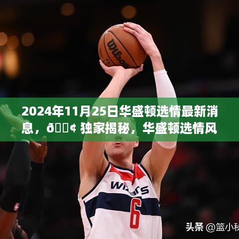 2024年11月25日華盛頓選情最新消息，?? 獨(dú)家揭秘，華盛頓選情風(fēng)云變幻，最新消息一網(wǎng)打盡！?? 2024年11月25日選情深度解析