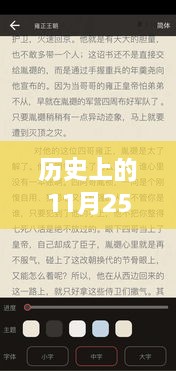 歷史上的11月25日小說最新章節(jié)獲取與閱讀指南——初學(xué)者與進階用戶的實用指南