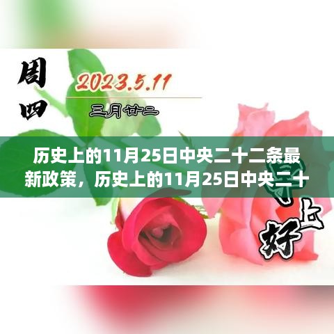 歷史上的11月25日中央二十二條最新政策，歷史上的11月25日中央二十二條最新政策深度解讀