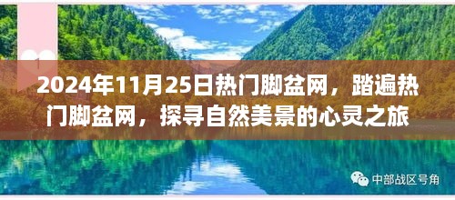 探尋自然美景的心靈之旅，熱門腳盆網(wǎng)之旅（2024年11月25日）