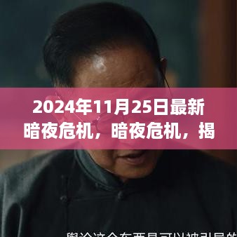 揭秘，2024年11月25日暗夜危機(jī)的背后故事與影響揭秘