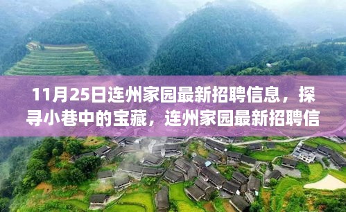 連州家園最新招聘，小巷寶藏與獨特小店的交織故事