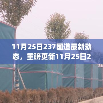 11月25日237國(guó)道最新動(dòng)態(tài)全解析，路況、施工及出行指南