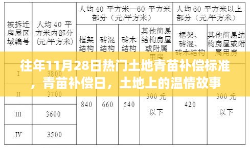 往年11月28日熱門話題，土地青苗補償標準與溫情故事回顧