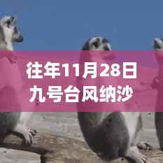 2024年11月 第73頁